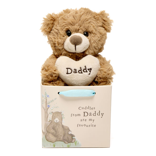 Cuddles From Daddy Bear In A Bag