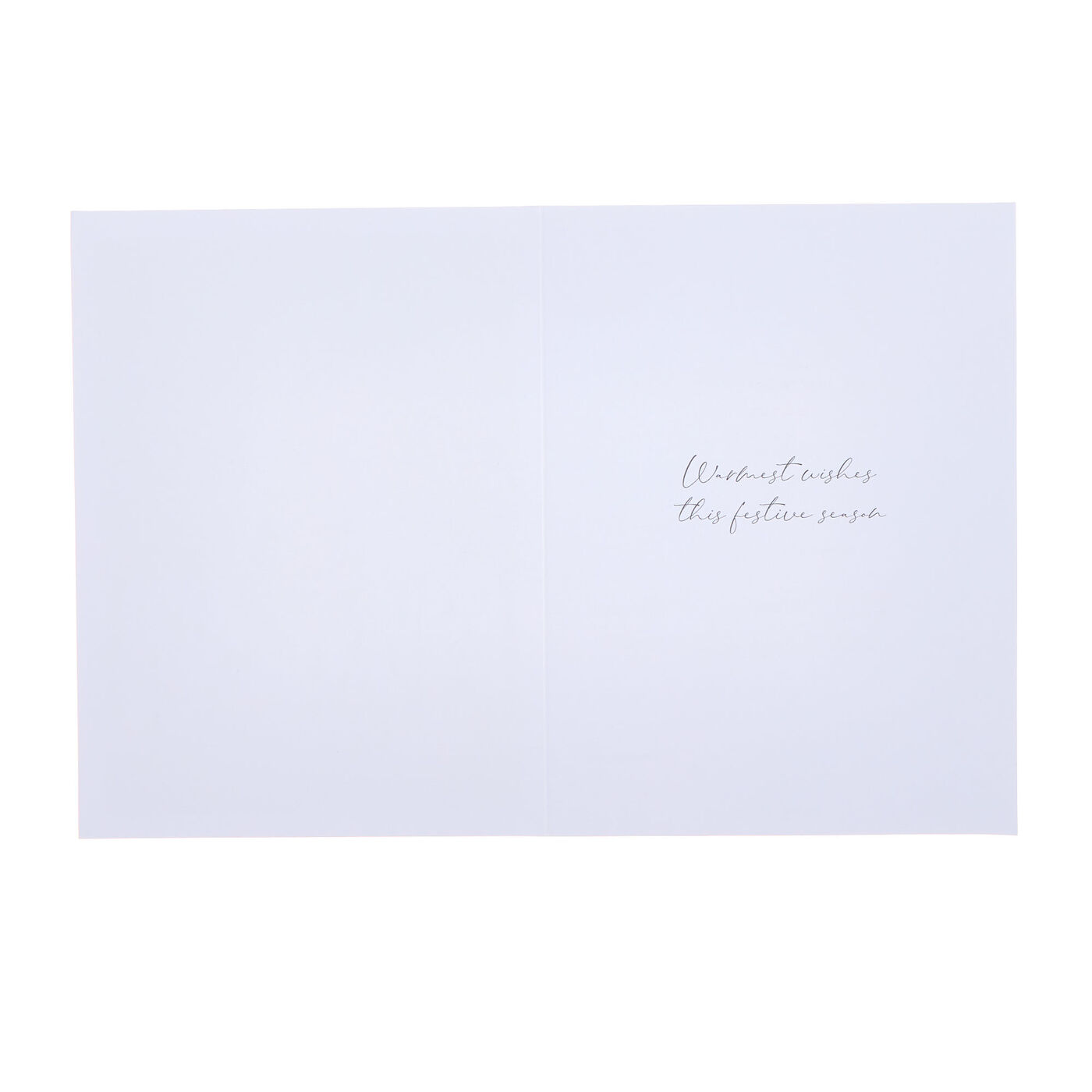 Buy Deluxe Ice Skating & Winter Scene Charity Christmas Cards - Pack of ...