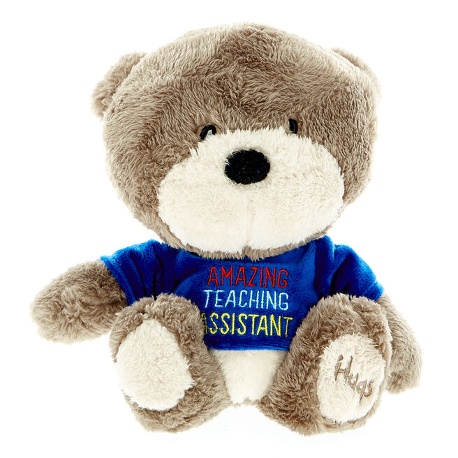 Hugs Bear Amazing Teaching Assistant Soft Toy 