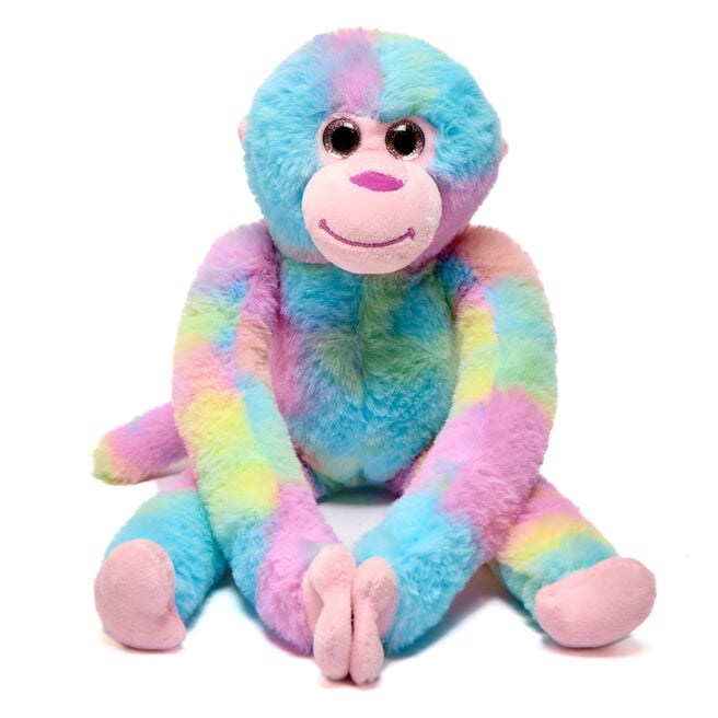 Rainbow Monkey Soft Toy