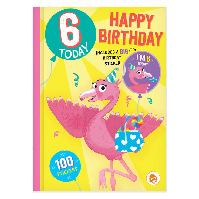 6 Today Flamingo Birthday Activity Book & Stickers