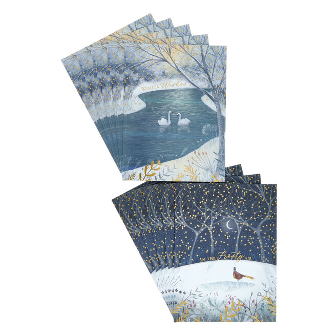 10 Deluxe Boxed Charity Christmas Cards - Winter Birds (2 Designs) 