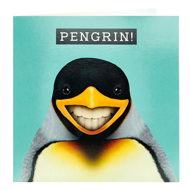 Any Occasion Card - Pengrin!