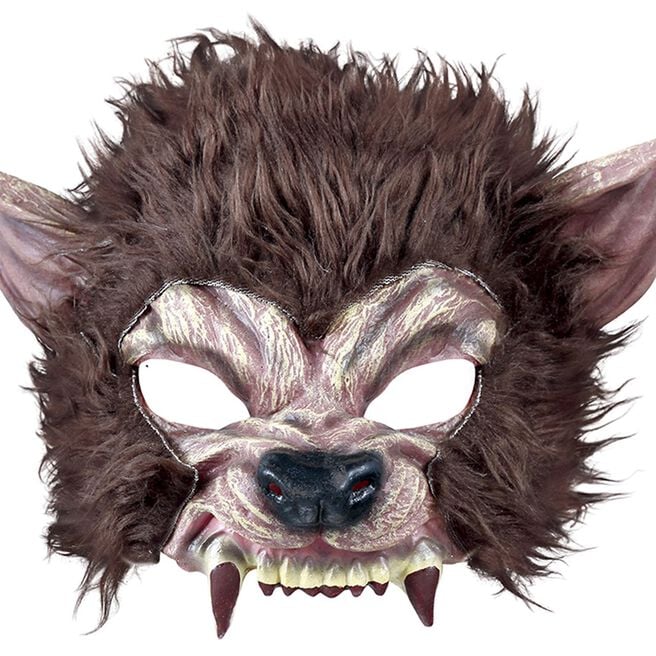 Fancy Dress Hairy Wolf Mask