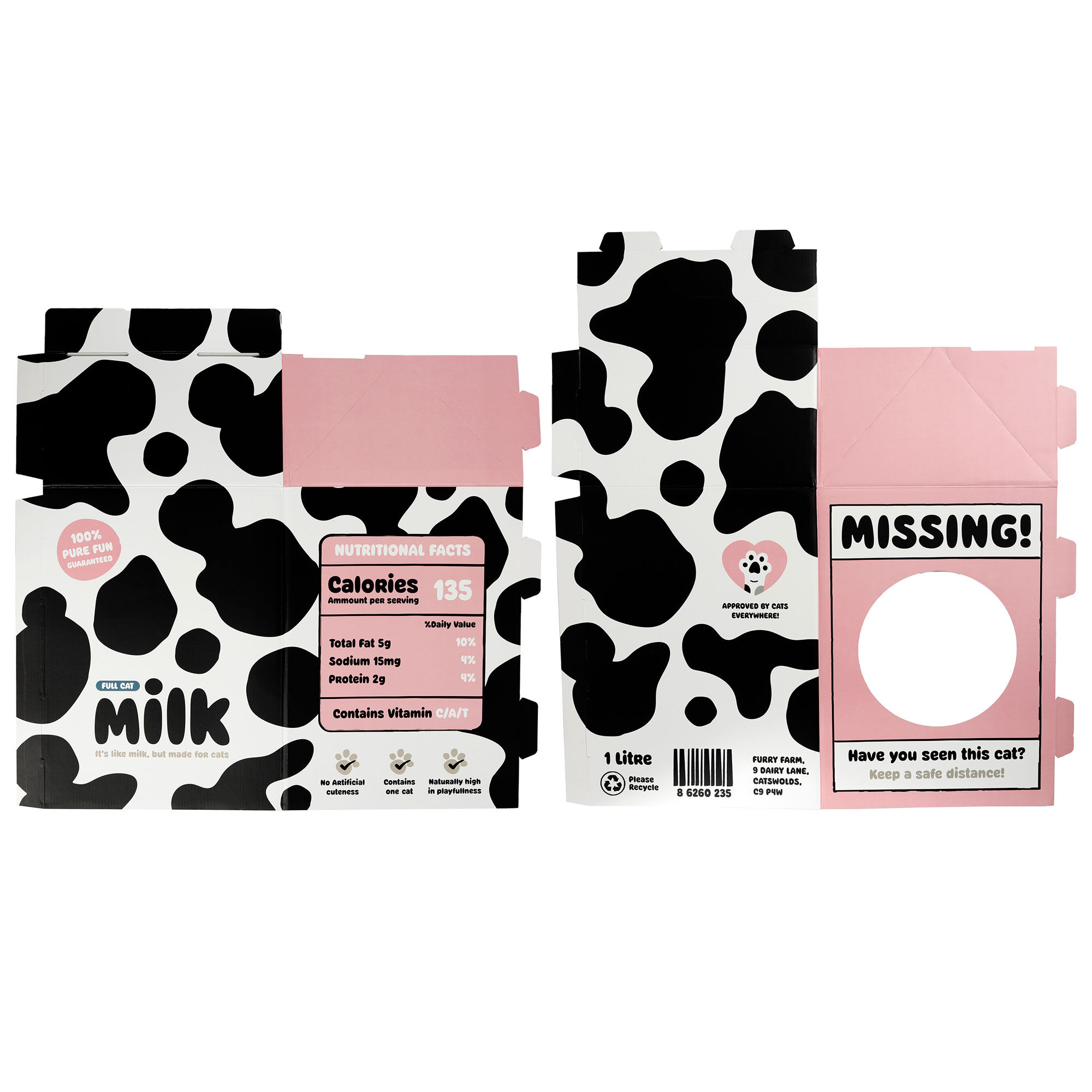 Milk best sale carton kittens