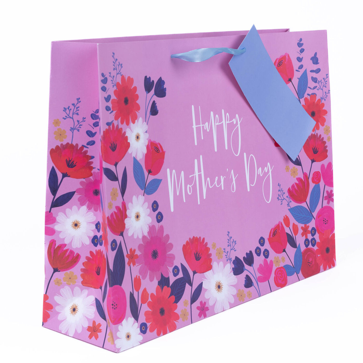 Buy Happy Mother's Day Botanical Extra Large Landscape Gift Bag for GBP