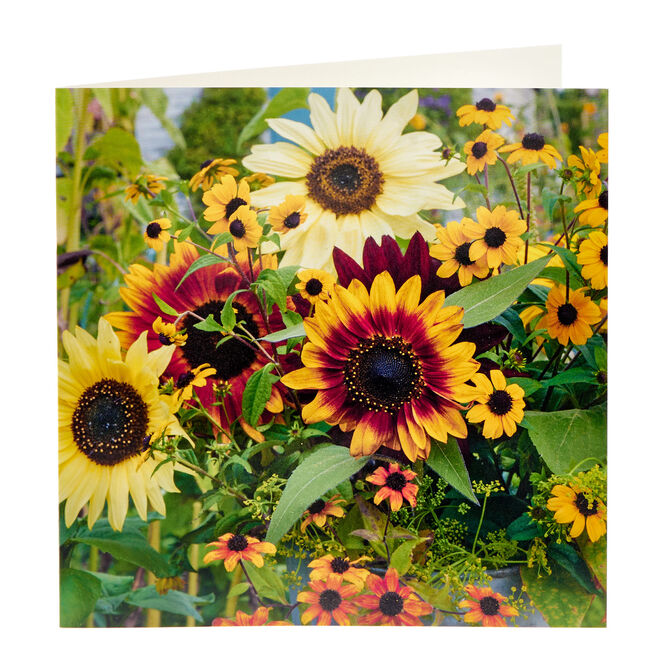 Gardener's World Sunflowers Any Occasion Card
