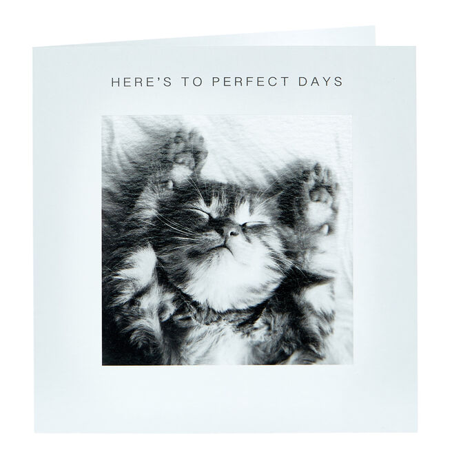 Any Occasion Card - Here's To Perfect Days