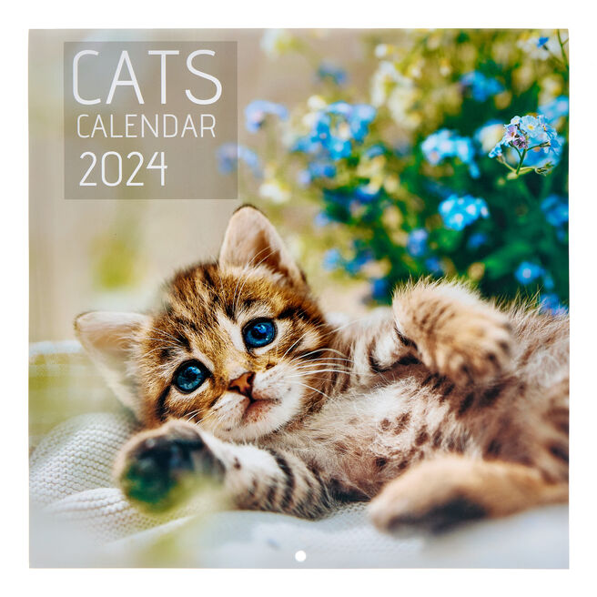 Cats 2024 Square Calendar