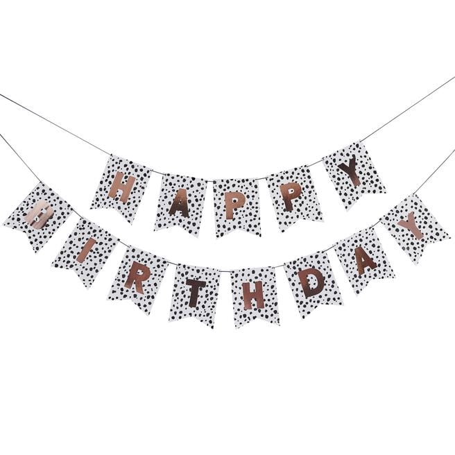 Dalmatian Happy Birthday Flag Card Banner 2m
