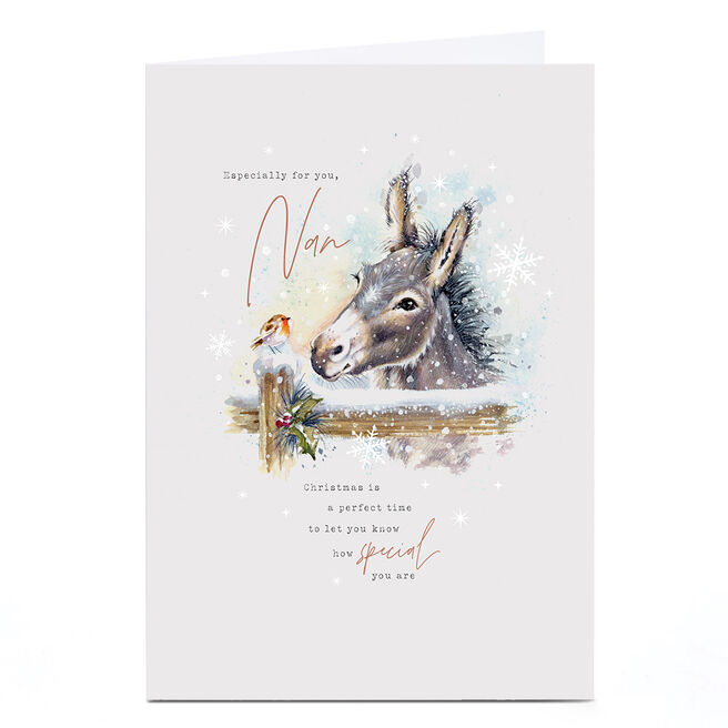 Christmas Card - Snowy Donkey and Robin, Nan