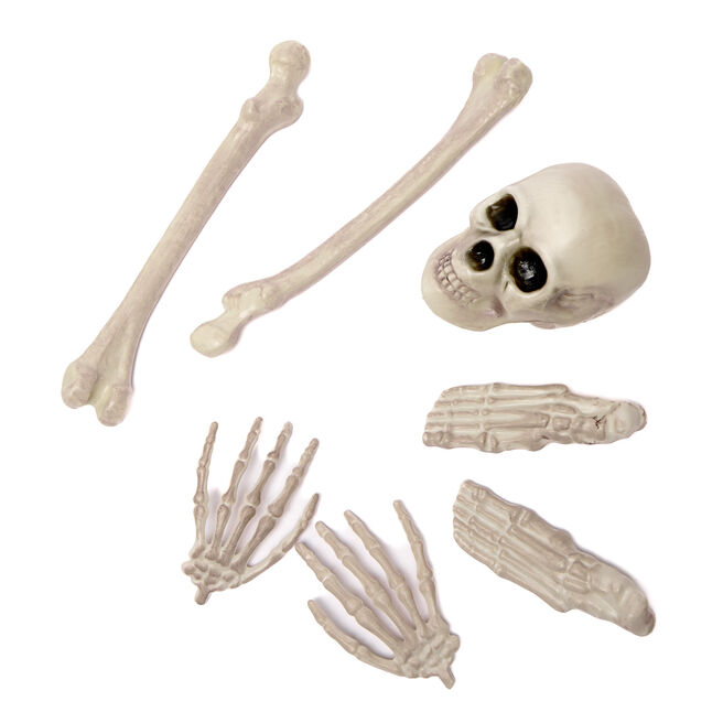 Bag of Bones 