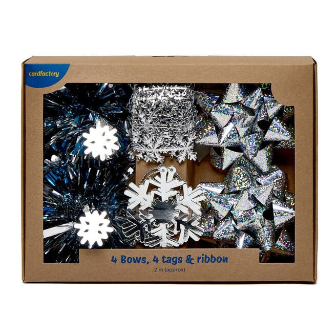 Silver Gift Wrap Accessories - 4 Bows, Tags & Ribbon