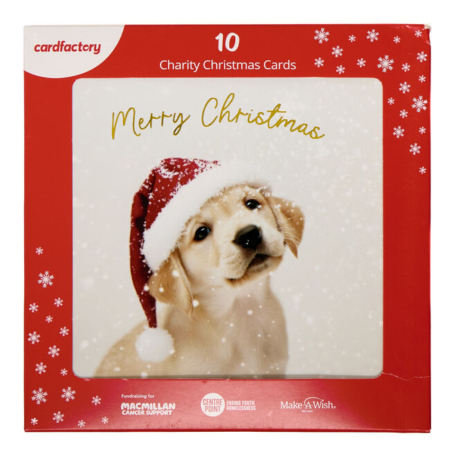 10 Square Dog in Santa Hat Charity Christmas Cards