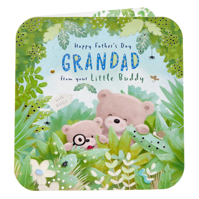 Hugs Grandad From Your Little Buddy Father's Day Card