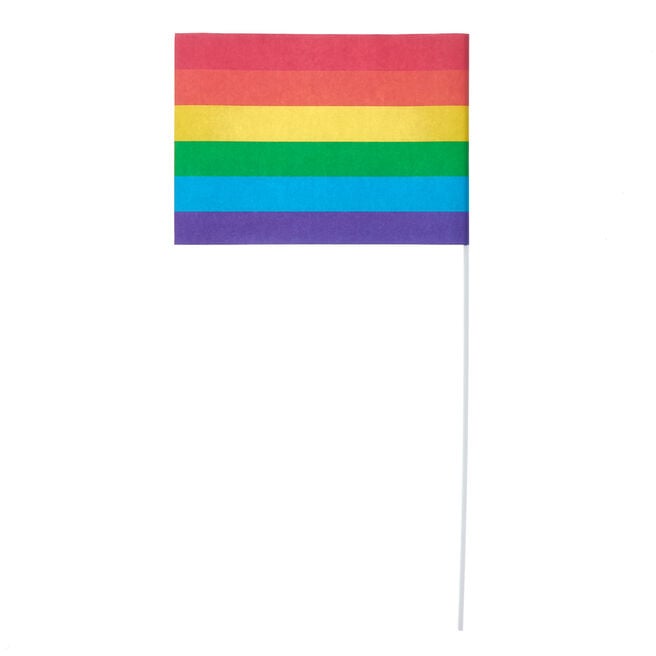 Paper Rainbow Flags - Pack of 6