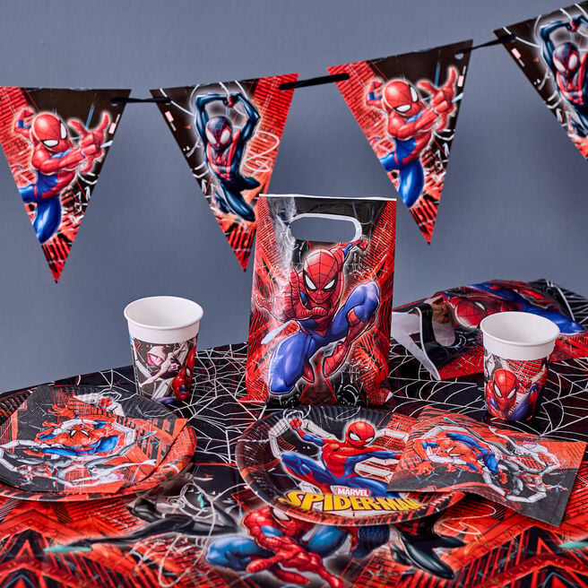Spider-Man Crime Fighter Party Tableware & Decorations - 16 Guests