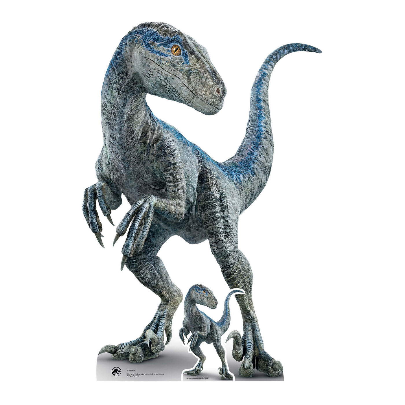 Buy Medium Jurassic World Blue Raptor Cardboard Cutout for GBP 29.99 ...