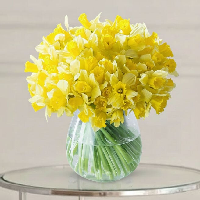 100 Spring Daffodils Flower Bouquet