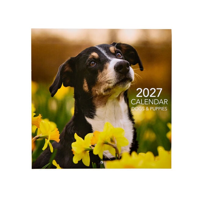Dogs & Puppies 2027 Square Wall Calendar 