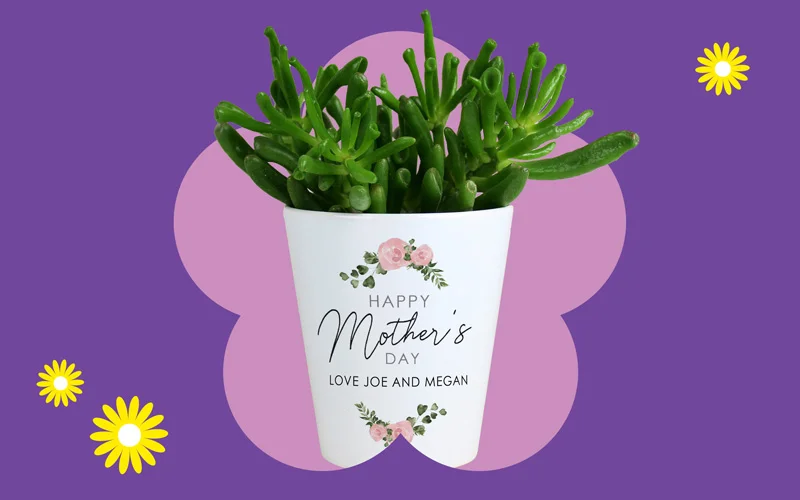A white plant pot with a green succulent and a floral ‘Happy Mother’s Day’ message, displayed against a purple background with a pink flower shape and yellow daisies.