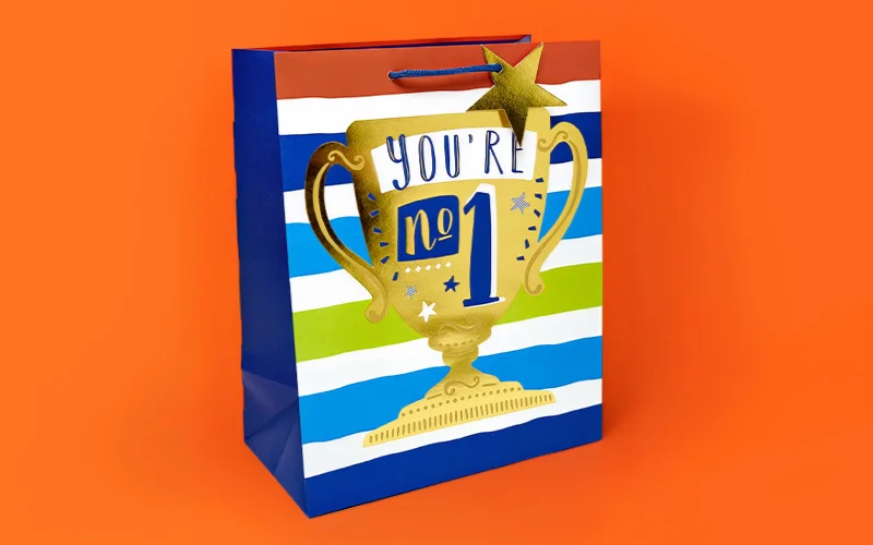 A Father’s Day gift bag with bold horizontal stripes in blue, green and white, featuring a large gold trophy illustration and the text ‘You’re No.1,’ displayed against a bright orange background. A Father’s Day gift bag with bold horizontal stripes in blue, green and white, featuring a large gold trophy illustration and the text ‘You’re No.1,’ displayed against a bright orange background.
