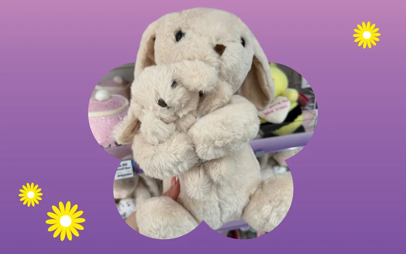 A soft beige bunny plush holding a smaller matching bunny toy, displayed against a purple and pink gradient background with small yellow daisy illustrations.