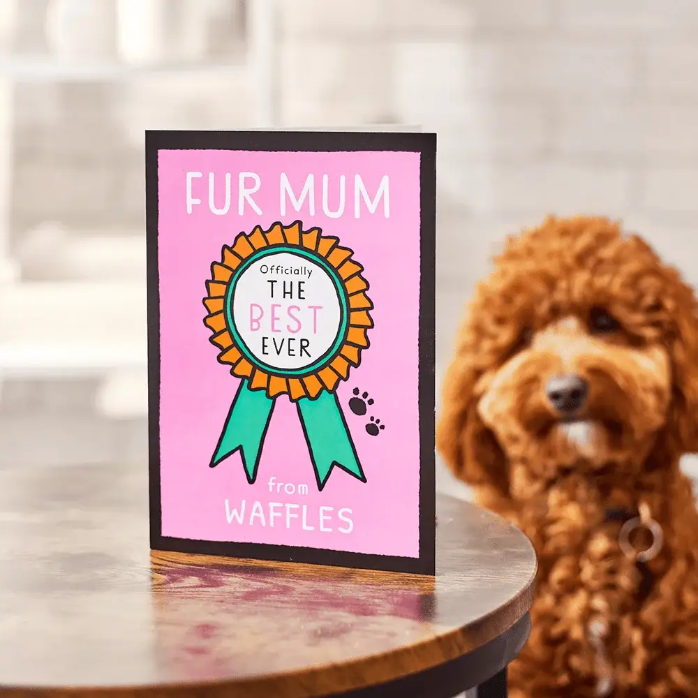 From the pet cards