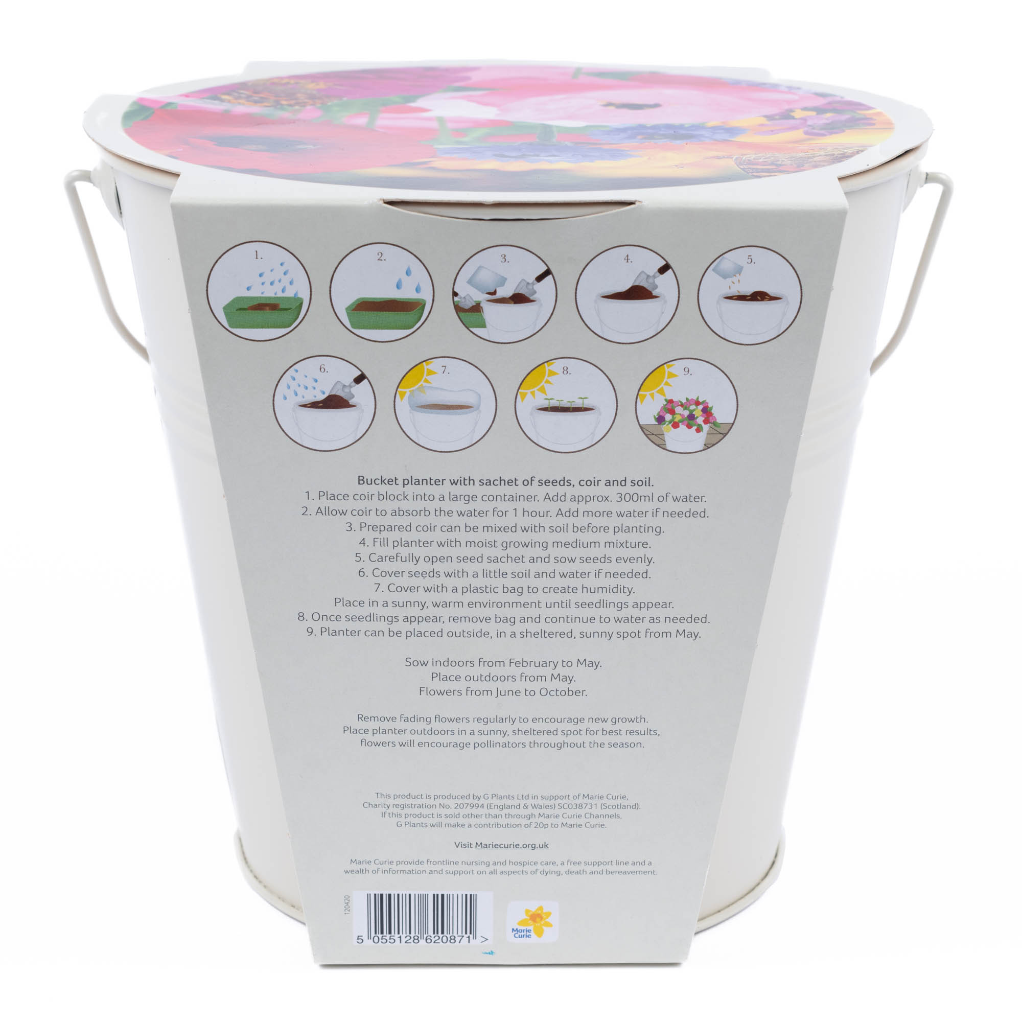 Marie Curie Pollinator Gift Bucket Planter Set