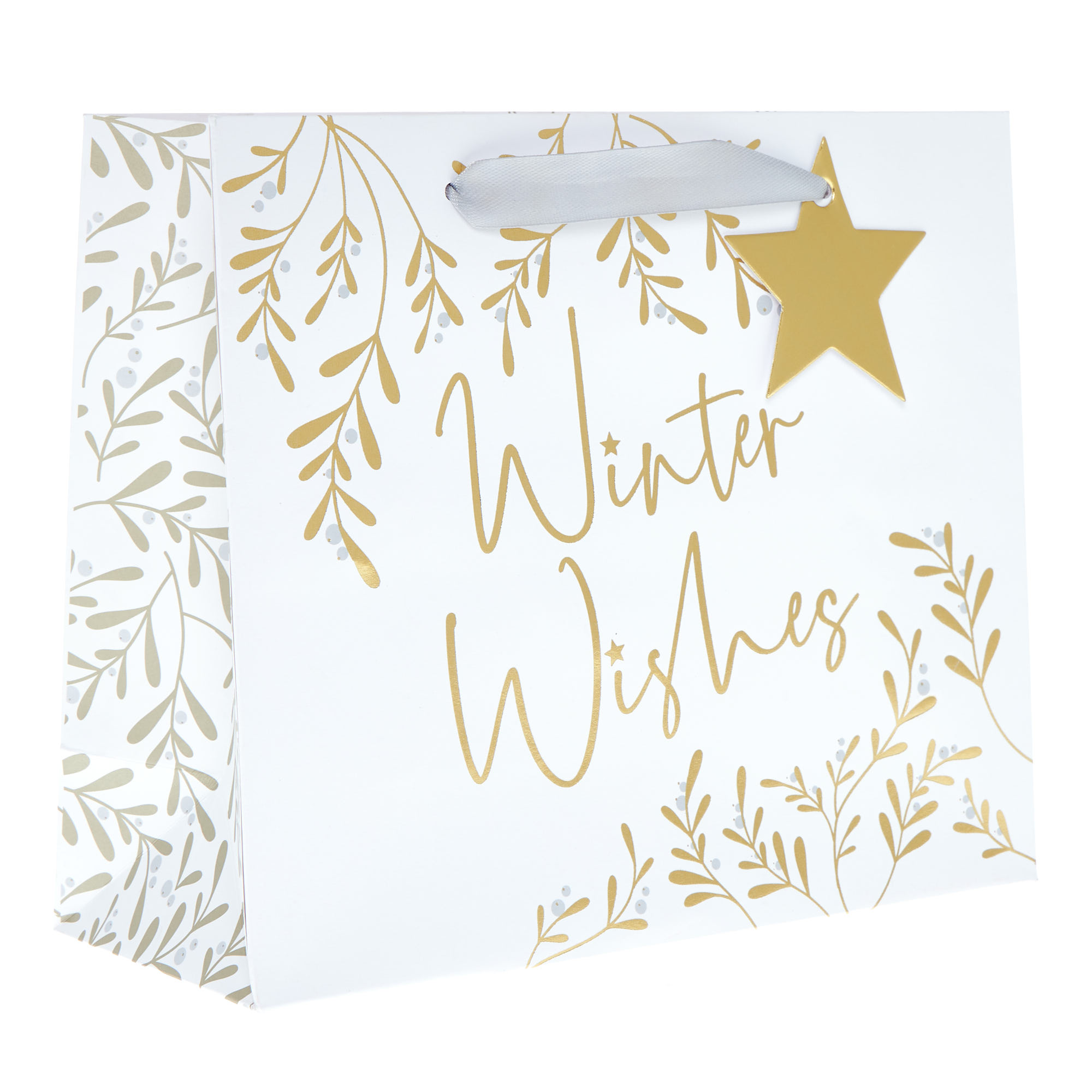 Medium Landscape Winter Wishes Gift Bag