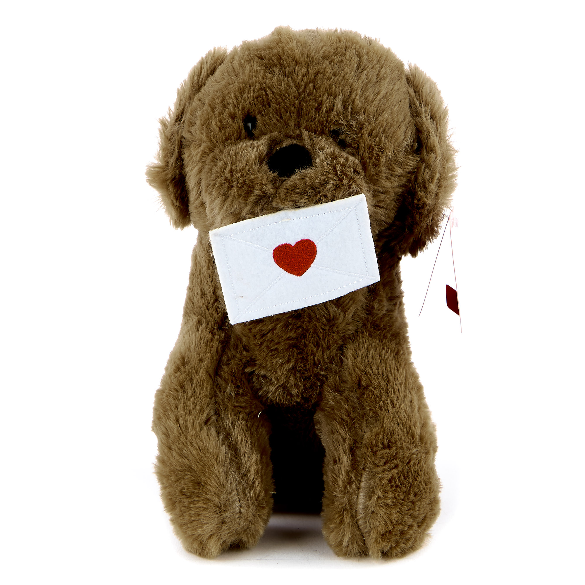 Dog With Letter Valentine's Day Soft Toy