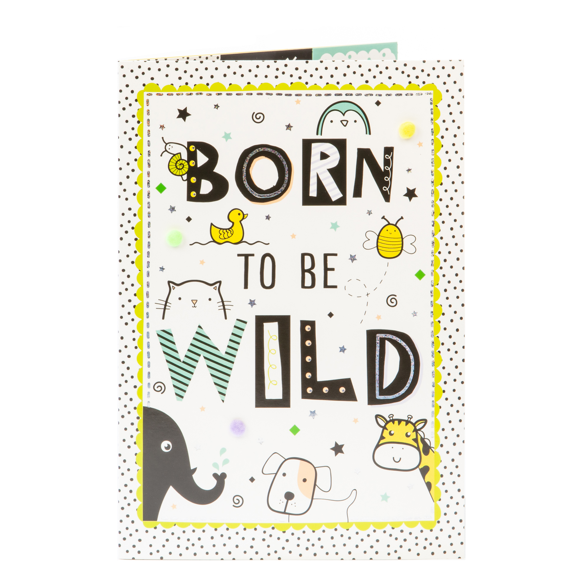 New Baby Card & Monthly Milestone Cards