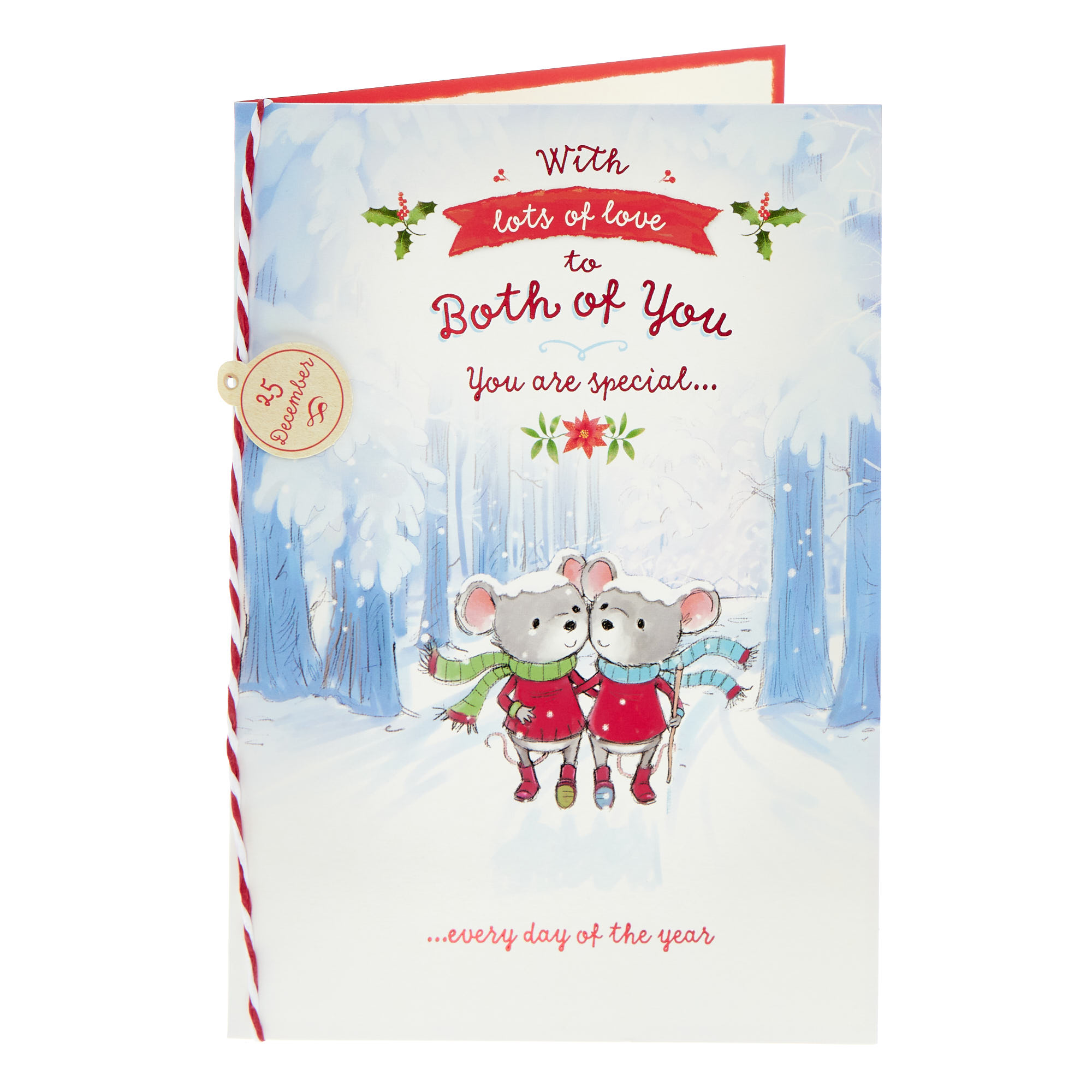 Both Of You Mice Couple Christmas Card