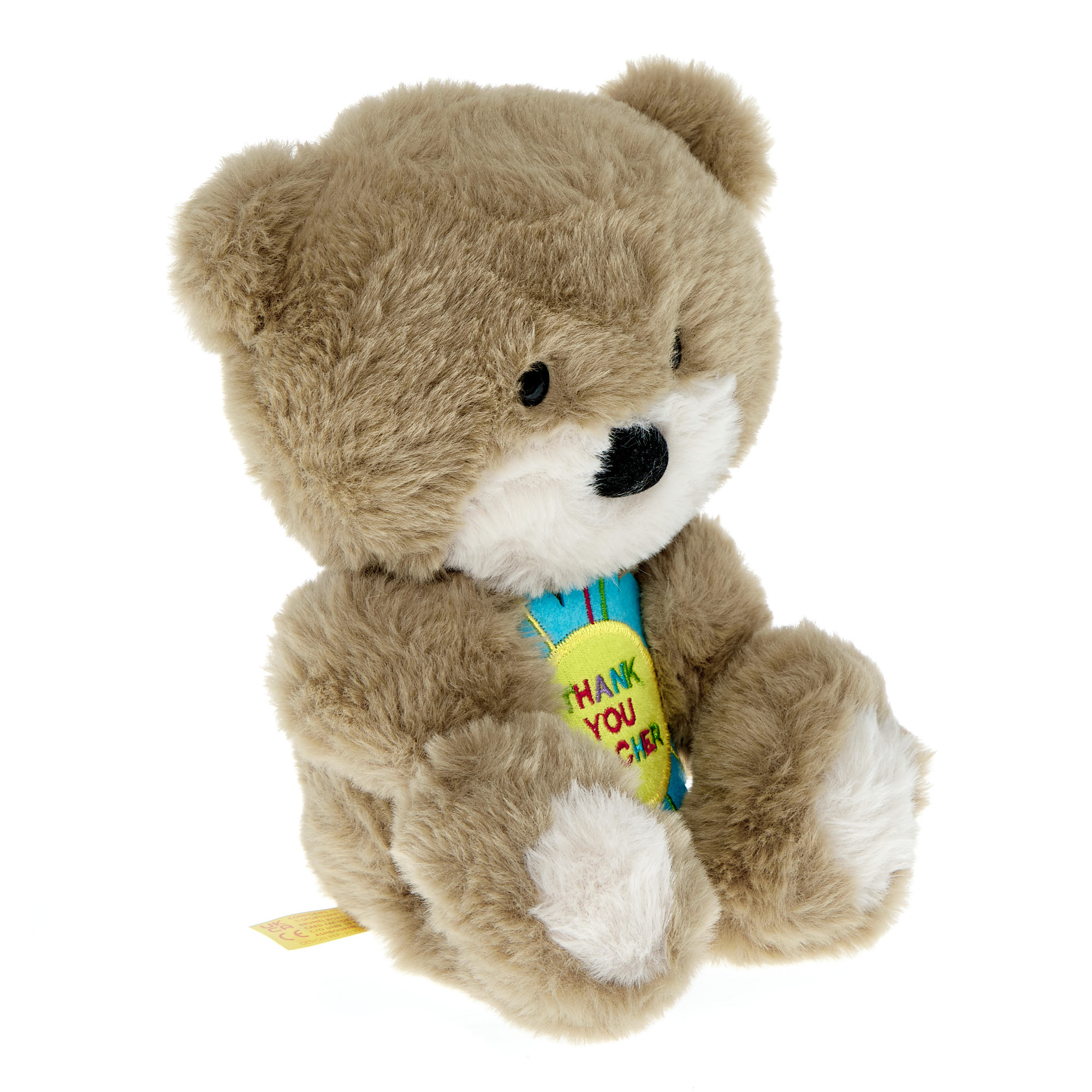 Small Thank You Teacher Hugs Bear Soft Toy