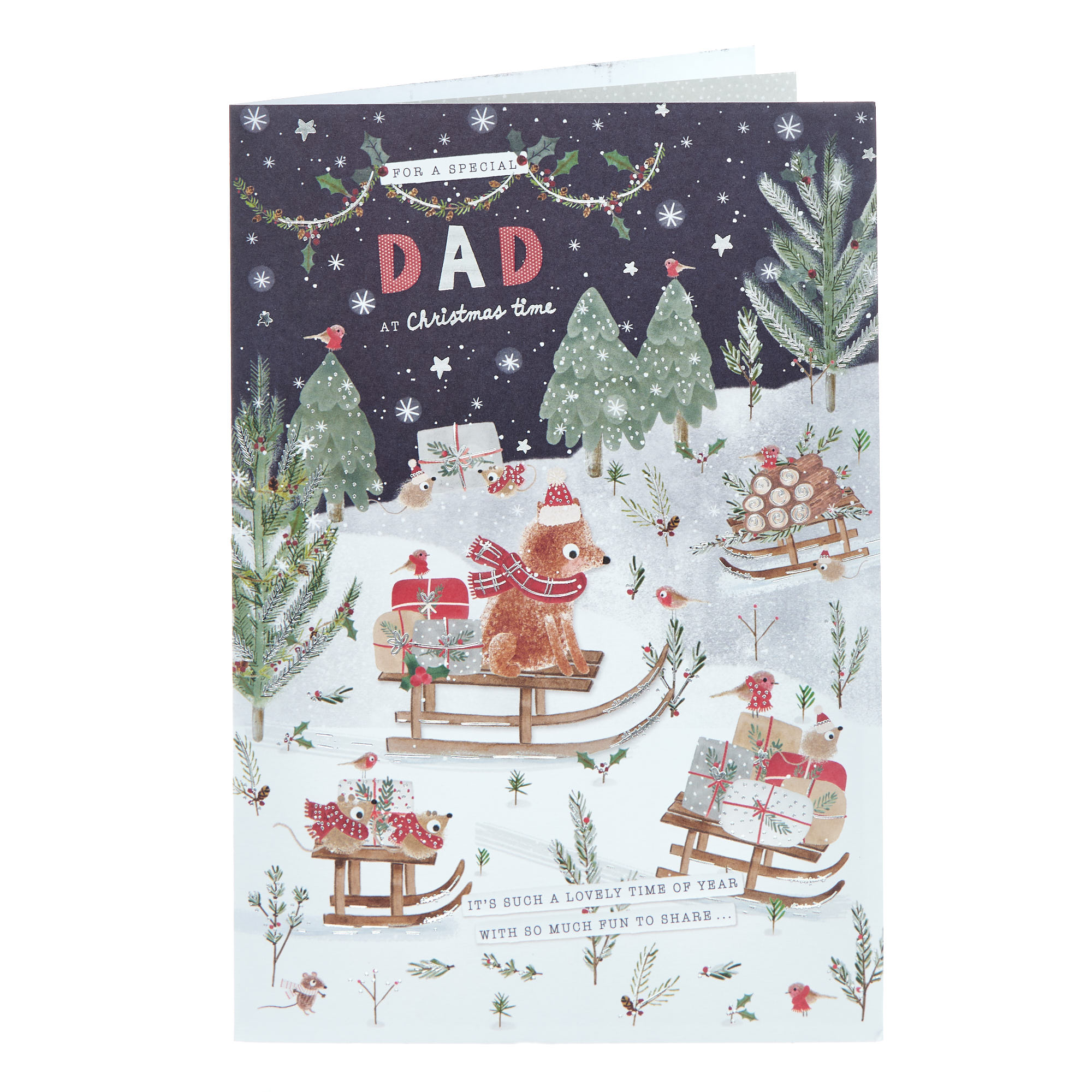 Dad So Much Fun To Share Christmas Card