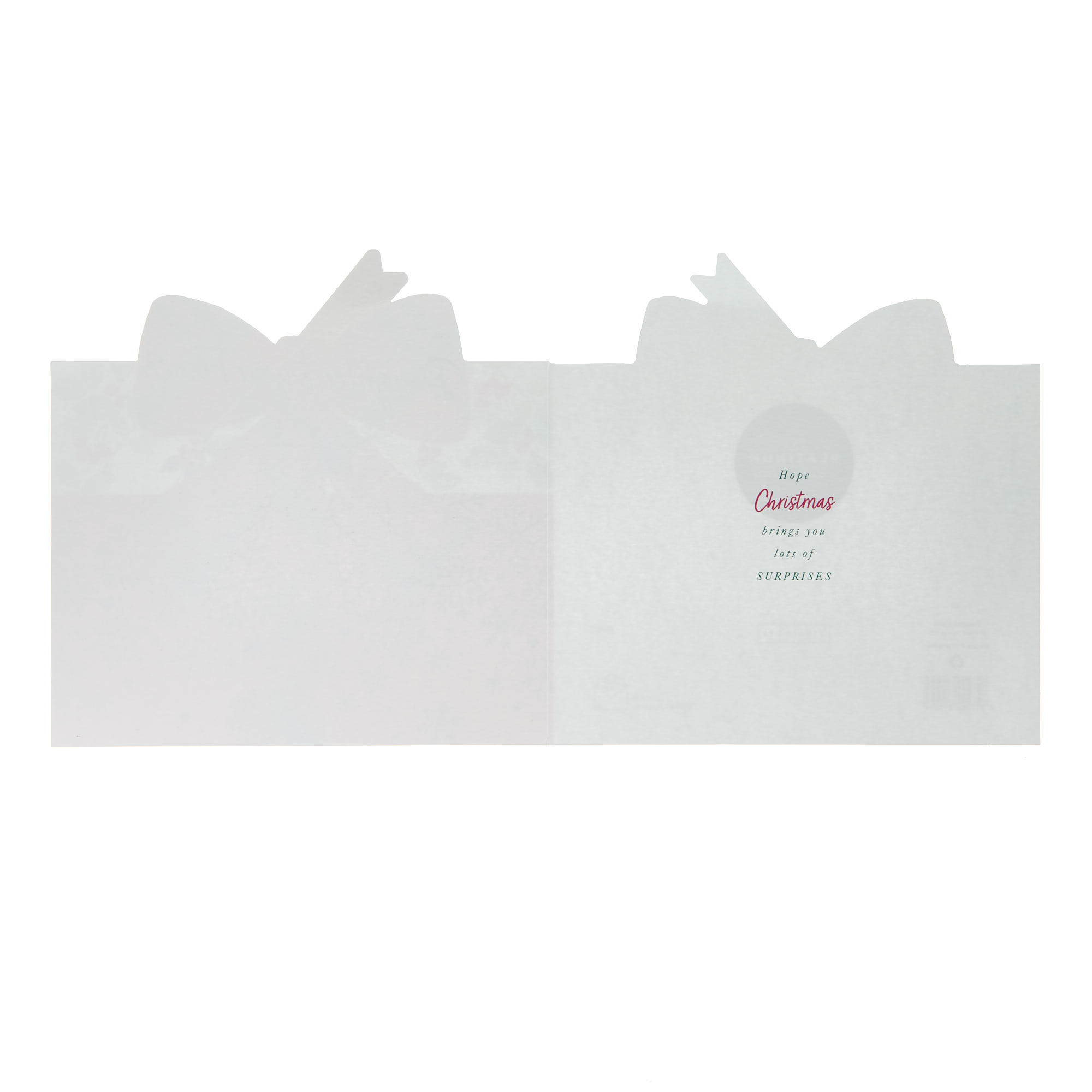 Daughter & Fiance Present Christmas Card
