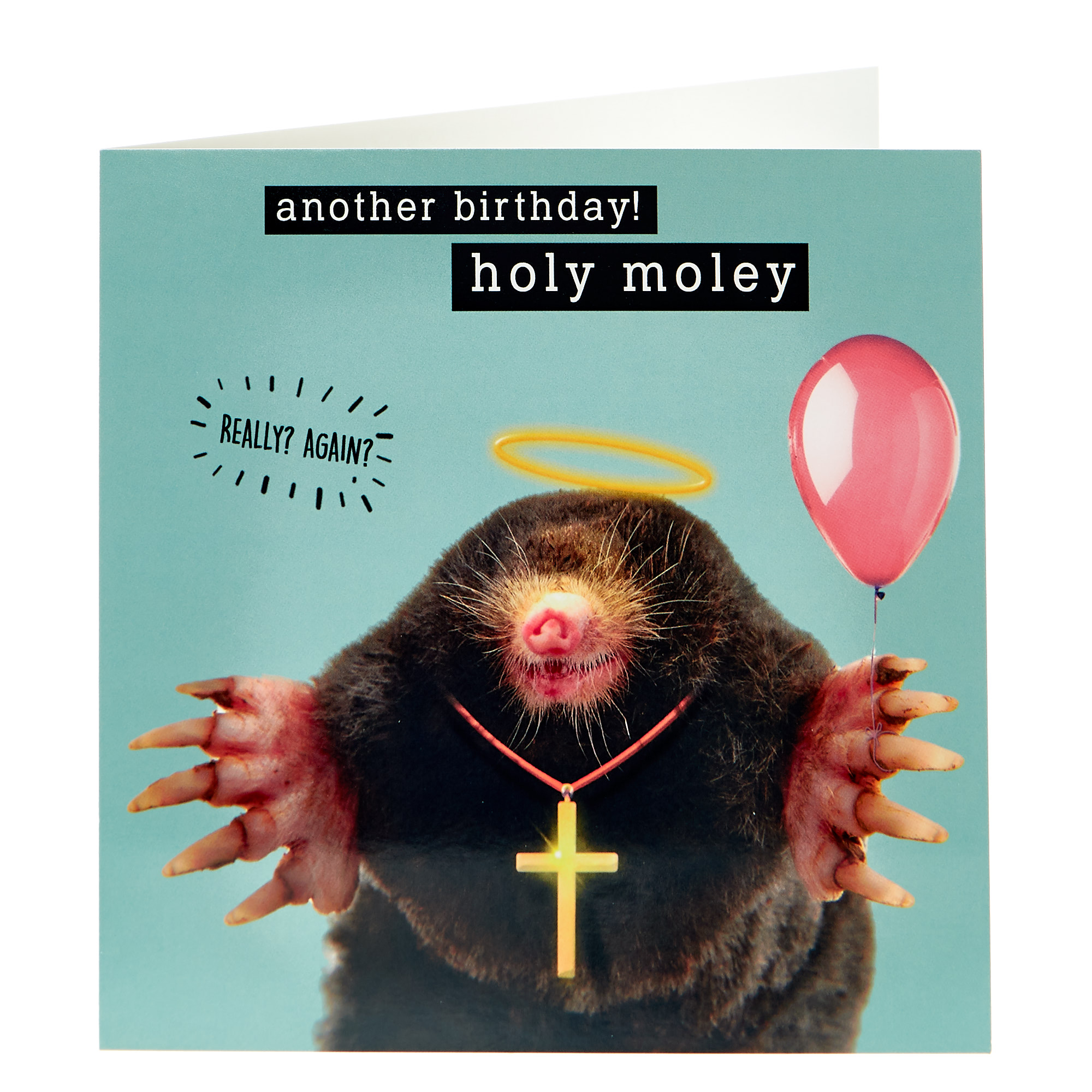 Birthday Card - Holy Moley