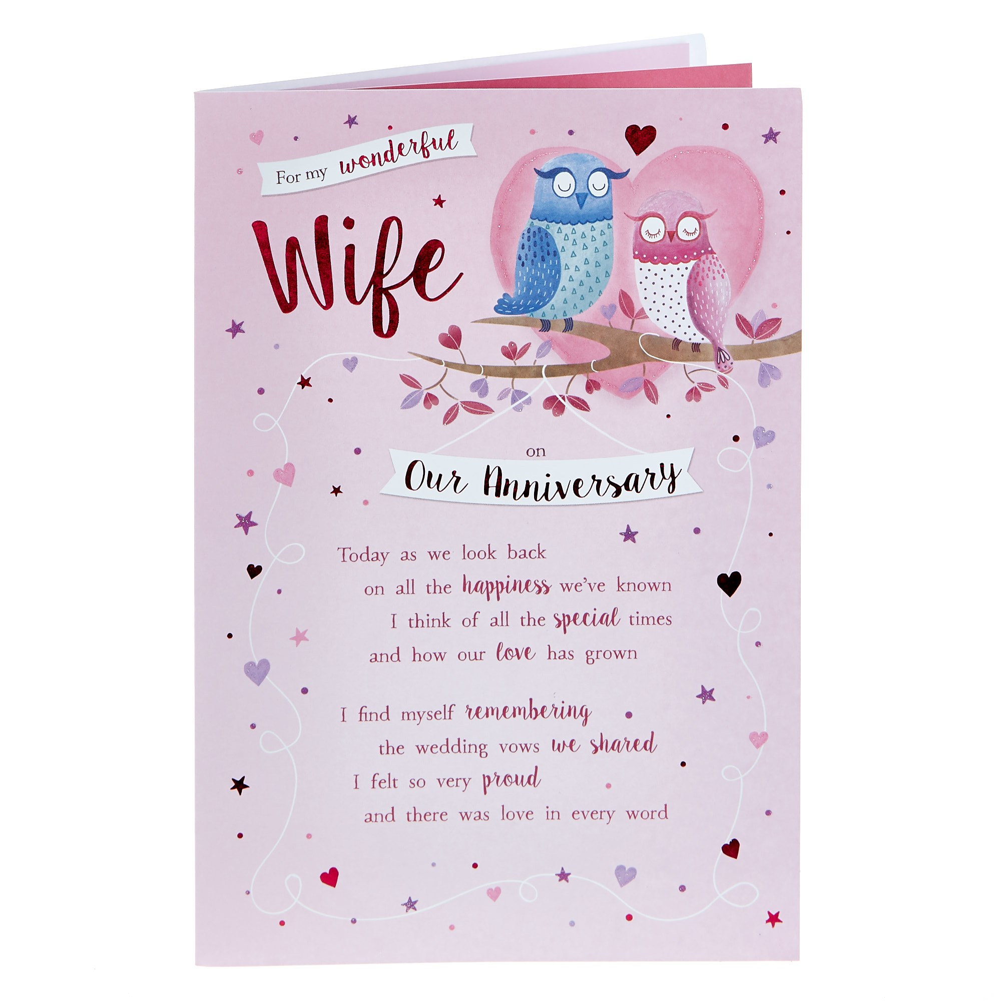 Anniversary Card - Wonderful Wife, Owls