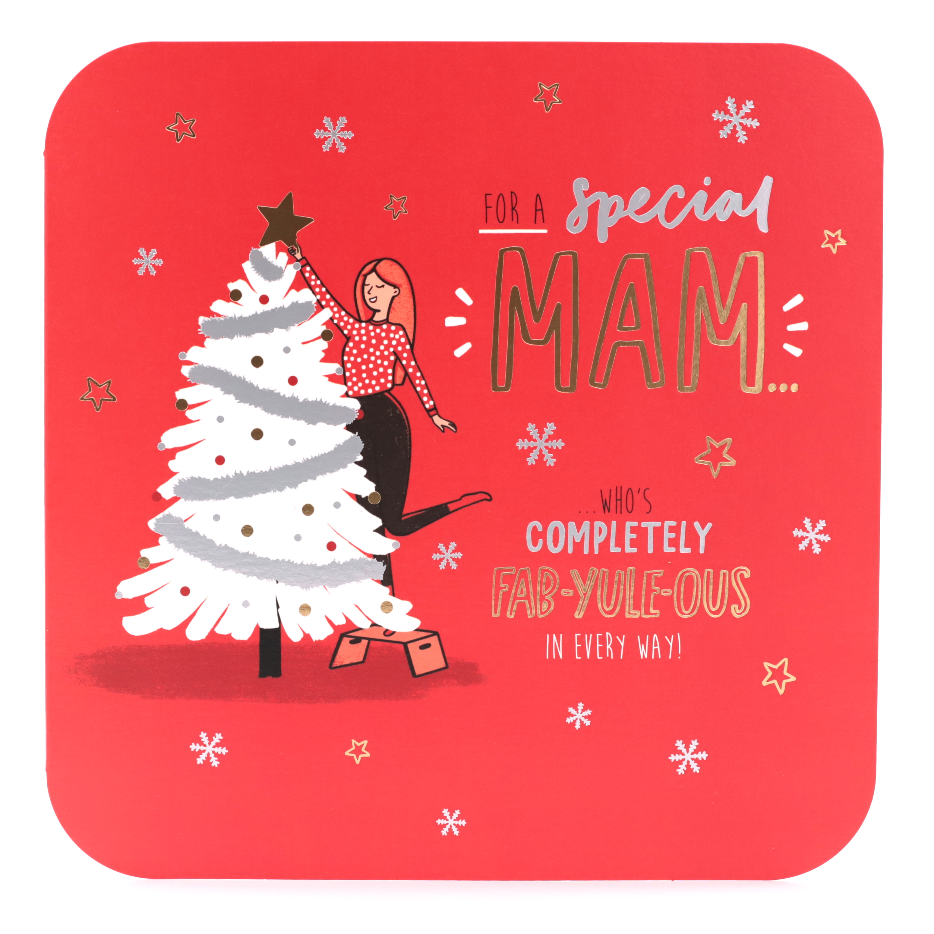 Christmas Card - Special Mam, Completely Fab-yule-ous!