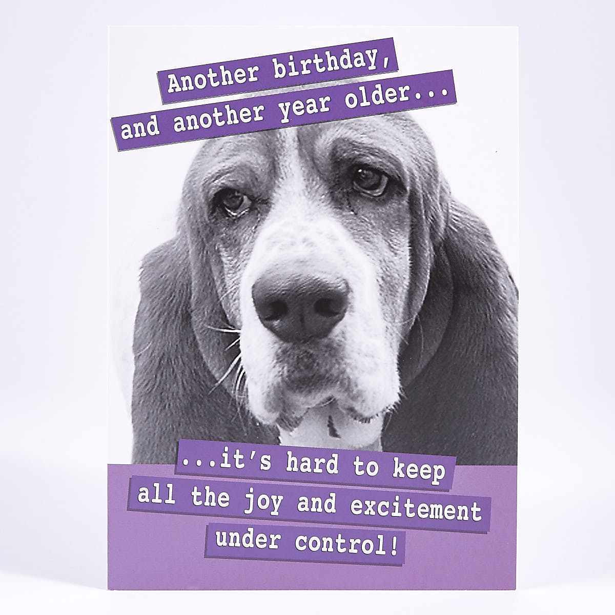 Birthday Card - Excitement Under Control