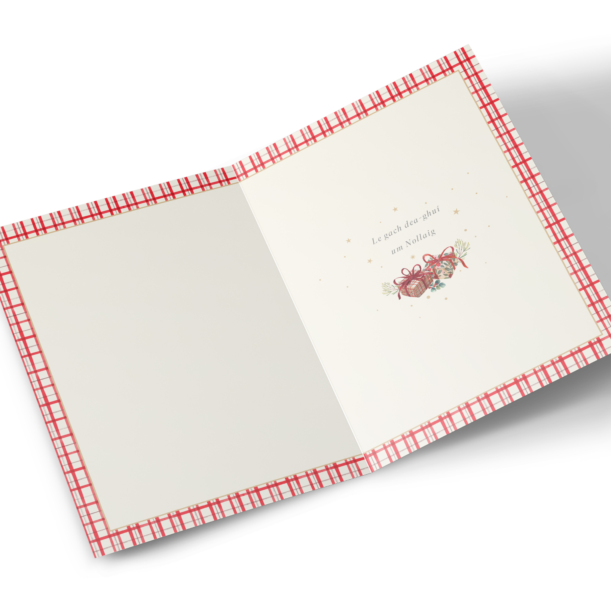 Irish Christmas Card - Festive Red Door