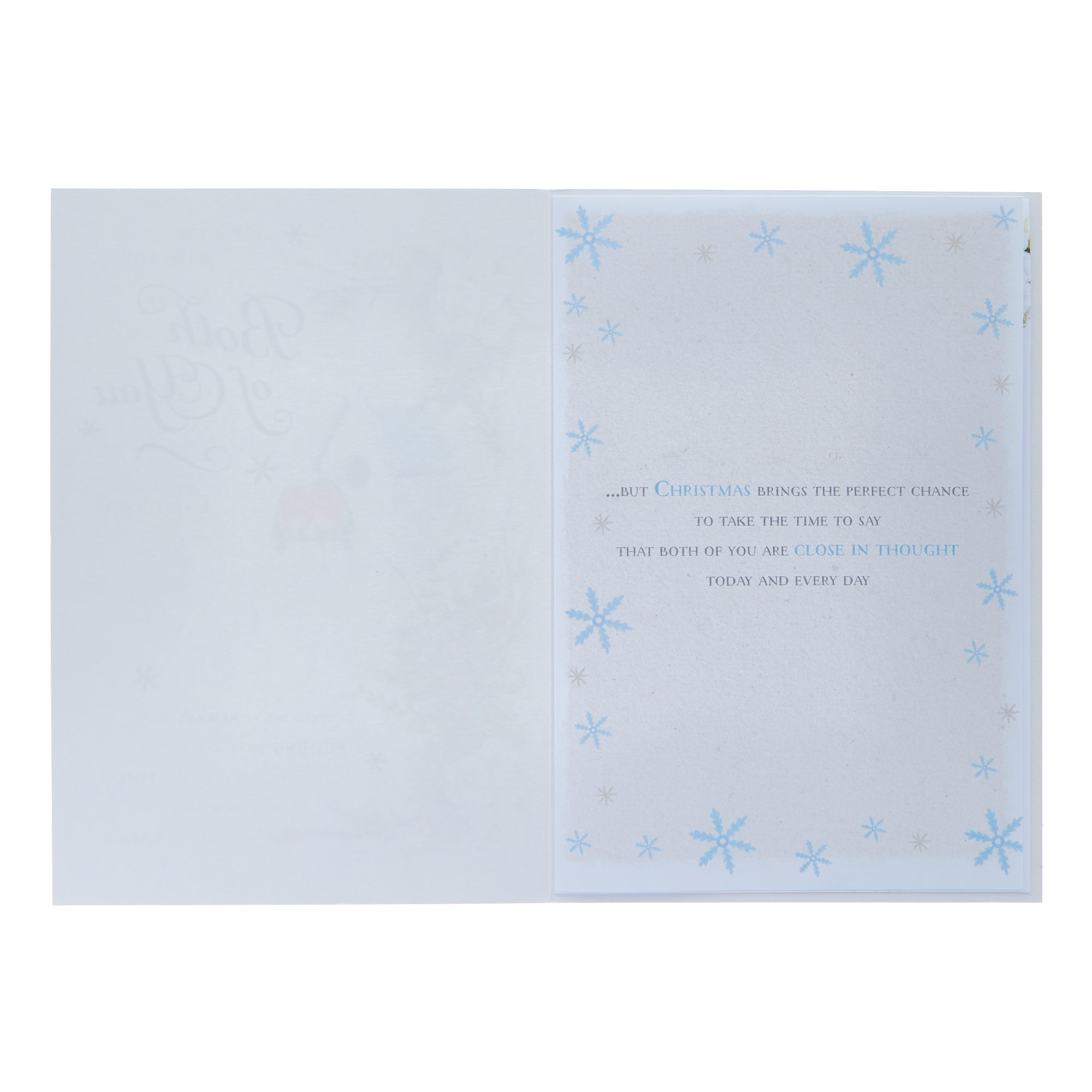 Both Of You Robins Christmas Card