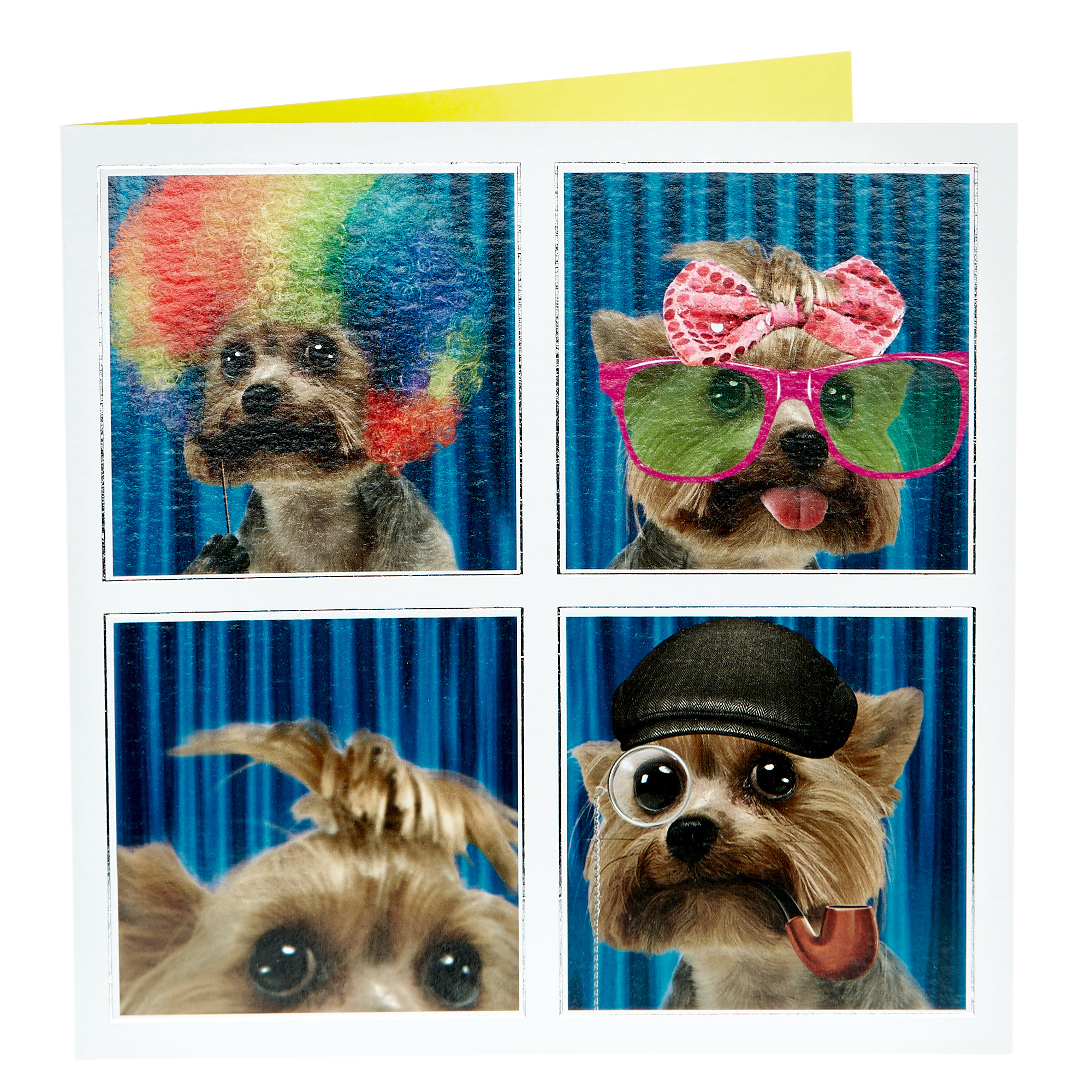 Any Occasion Card - Dog Photo Booth