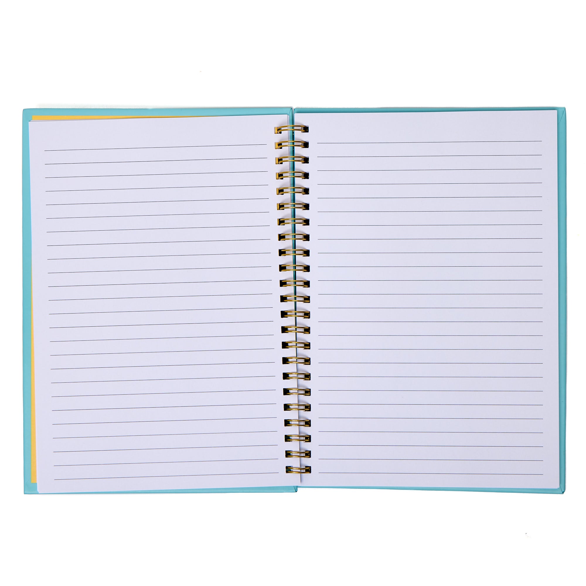 Capybara Taco A5 Fidget Notebook