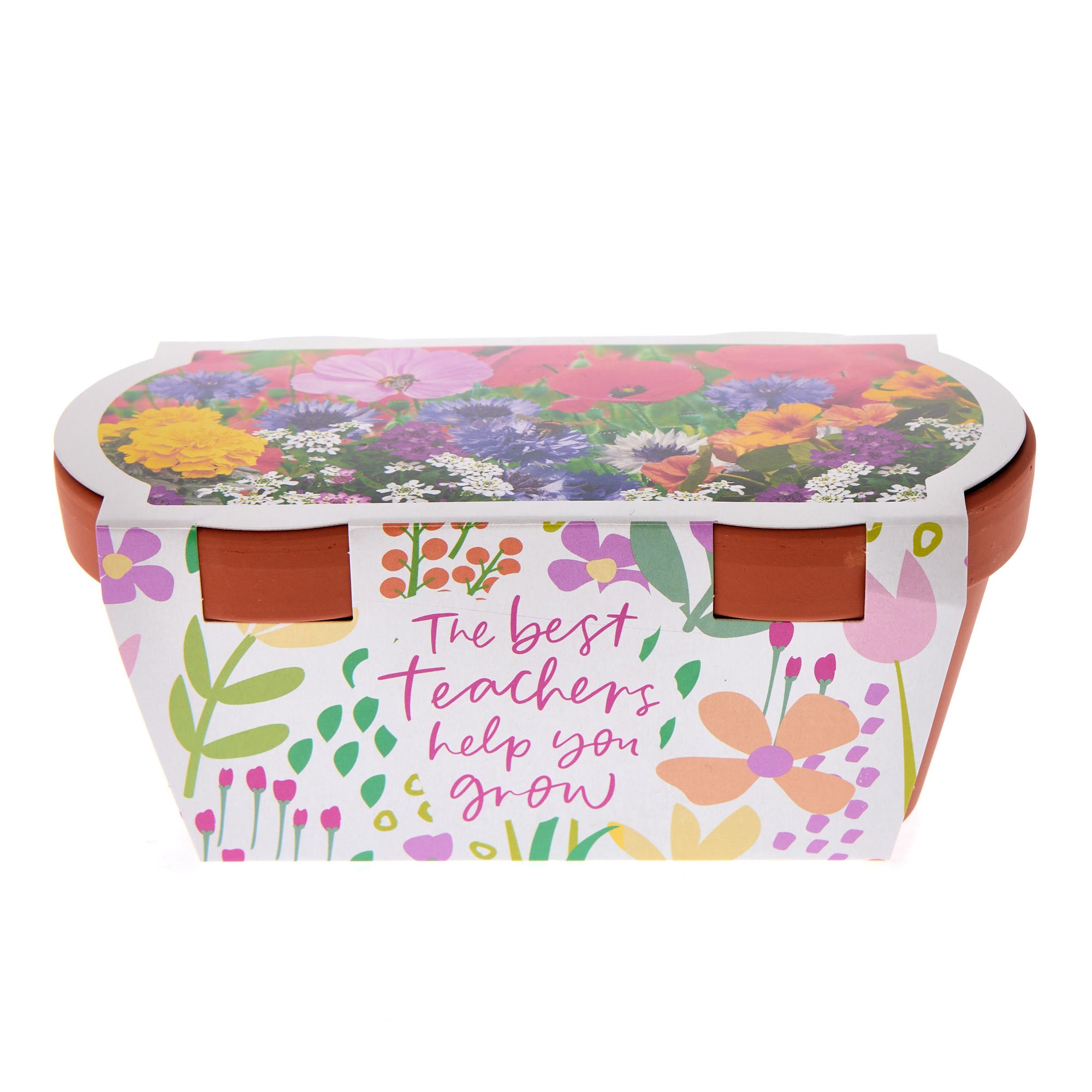 The Best Teachers Help You Grow Flower Starter Kit