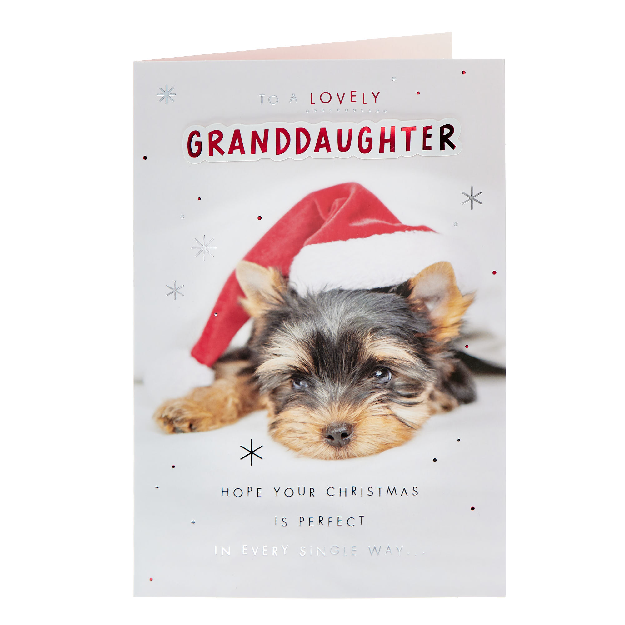 Granddaughter Dog In A Hat Christmas Card