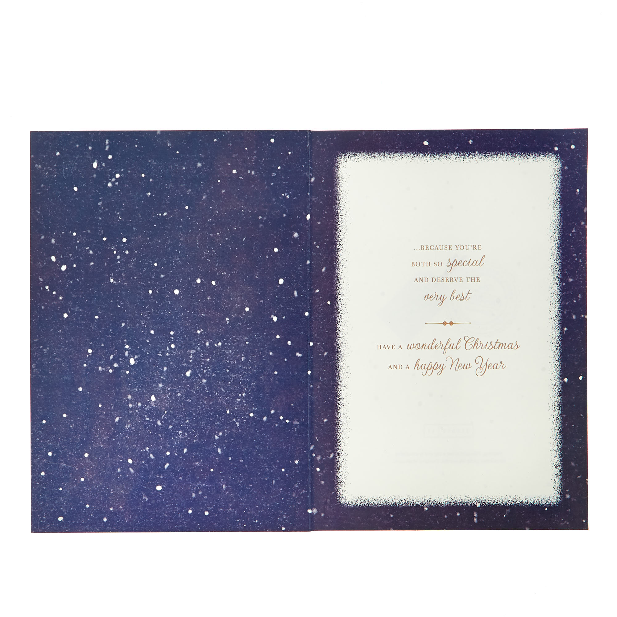 Christmas Card - Special Godparents Owls