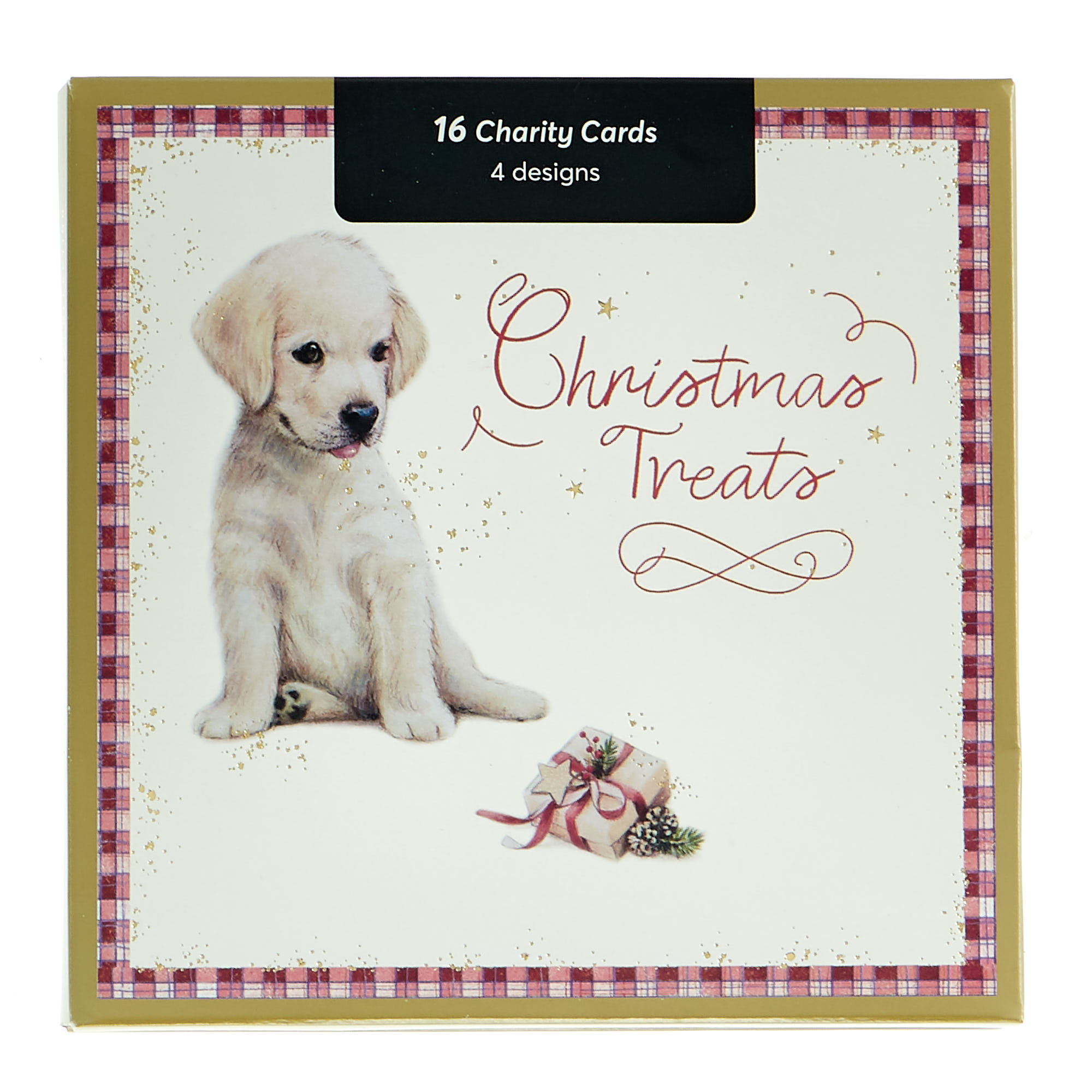 16 Charity Christmas Cards - Festive Pets (4 Designs)