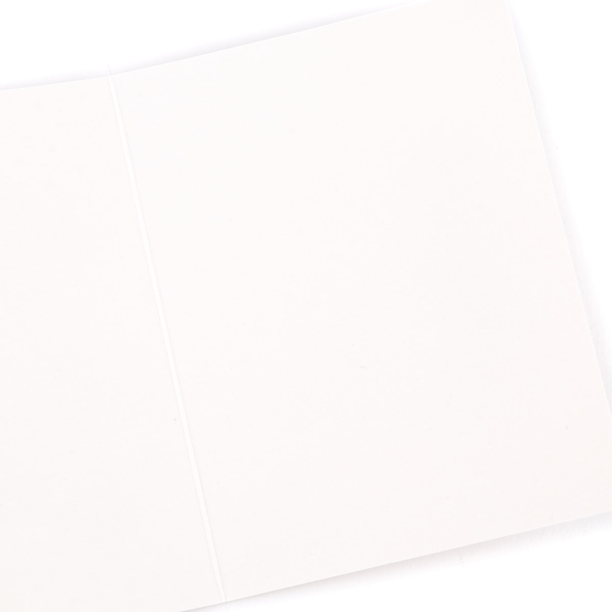 A Great Big Thank You Cards - Pack of 12