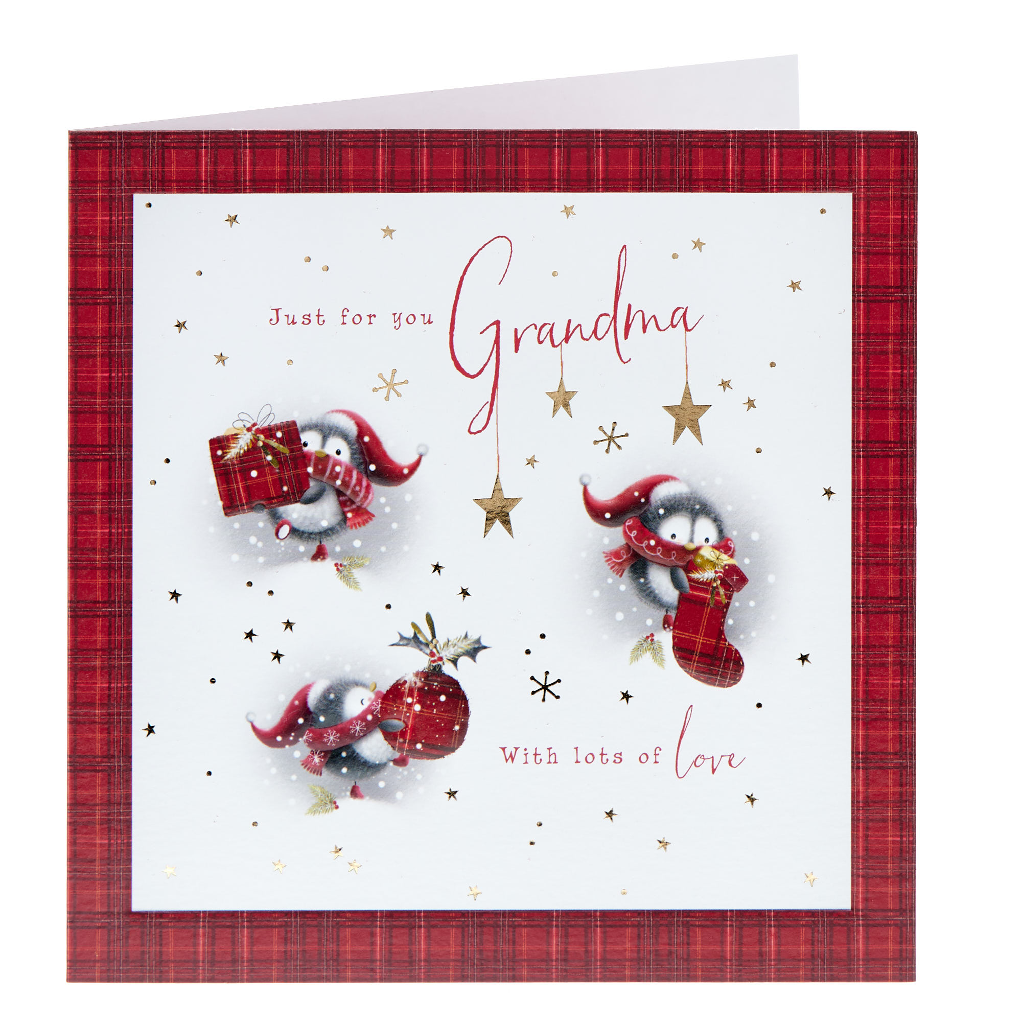 Grandma Tartan Border Christmas Card